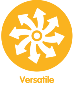 Versatile icon and text